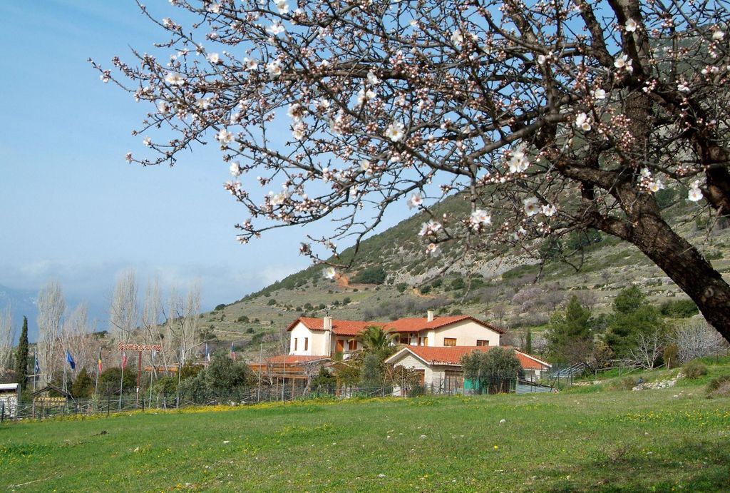 Kochen mit Lydia, einer griechischen Mutter! Zutaten vom Feld auf den Tisch!