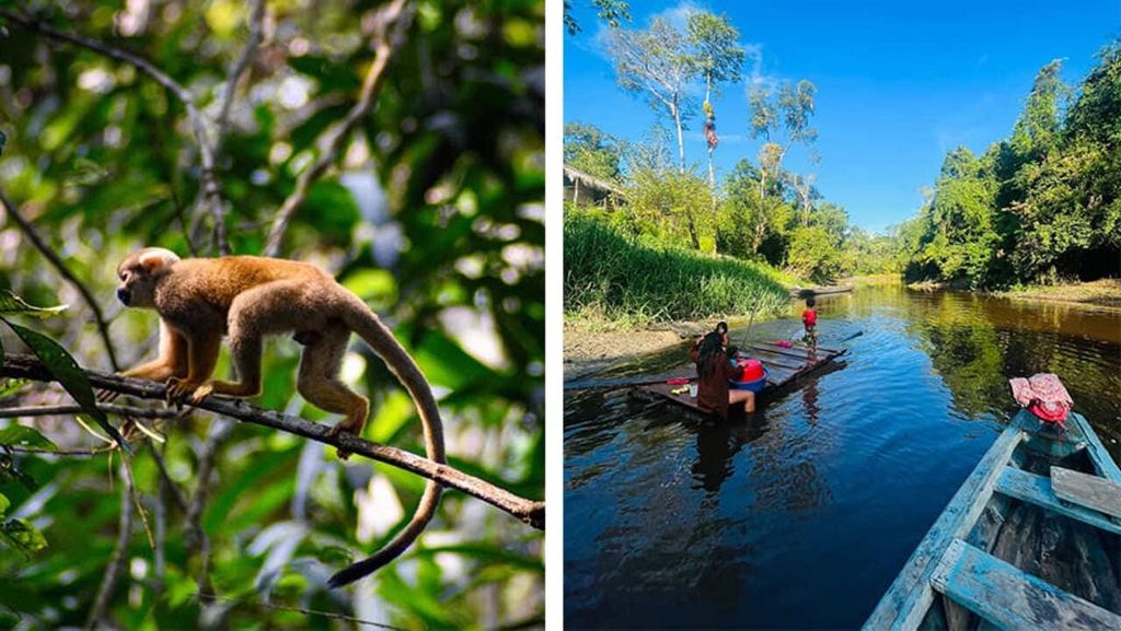 Iquitos: Yanayacu-Flusstour mit Mittagessen und Hotelabholung