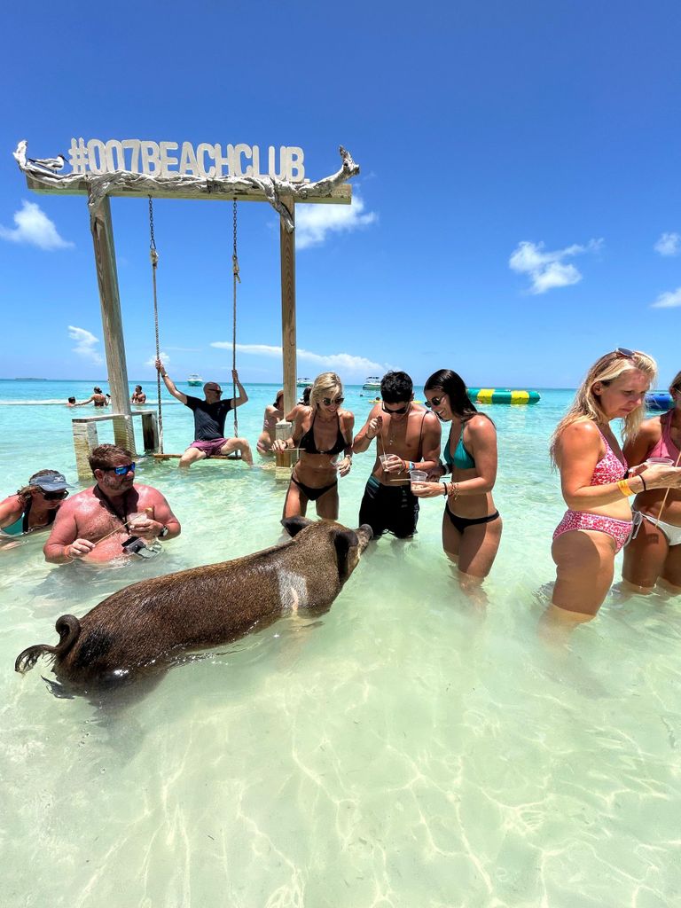 Nassau: Schweine, Schnorcheln, Schildkröten, Mittagessen, privater Beach Club