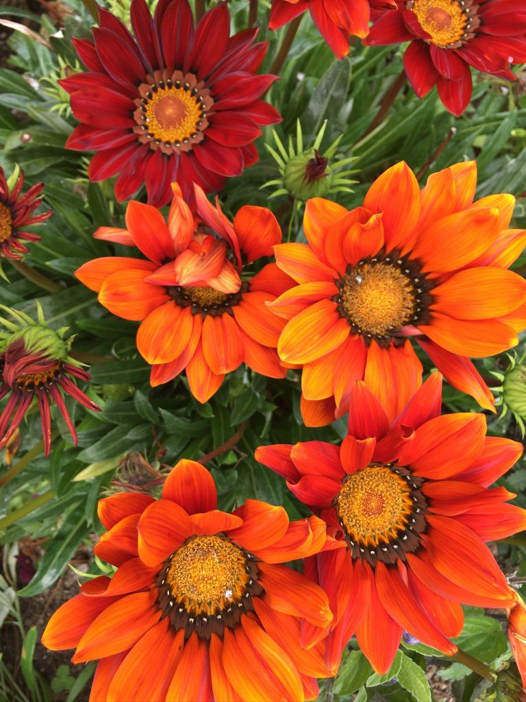 Gartenpfade und architektonische Schätze