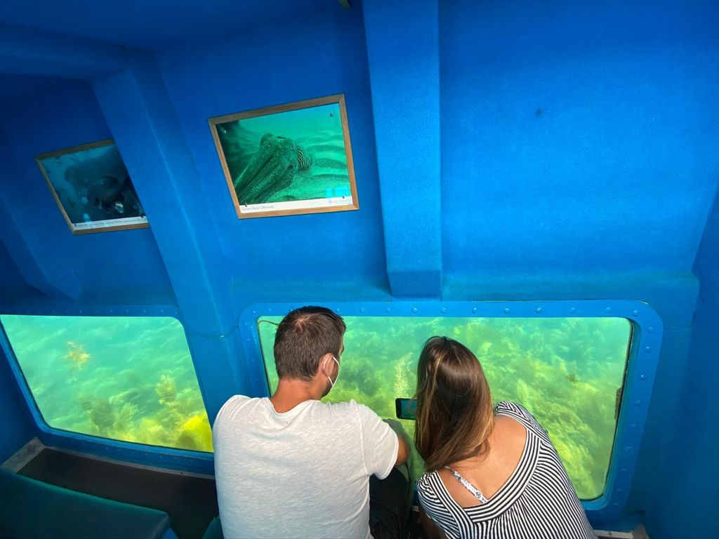 Sesimbra: Familienfreundliche Bootstour mit Submarine Vision