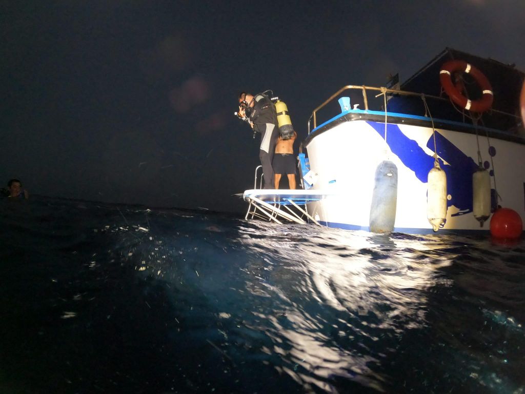 Larnaca: Zenobia-Wrack-Nachttauchgang-Zertifizierung mit SSI