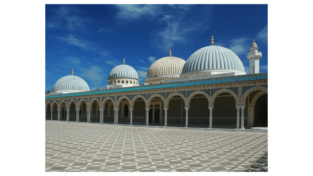 Tunis/Monastir/Hammamet: Tagestour an der Küste mit Guide