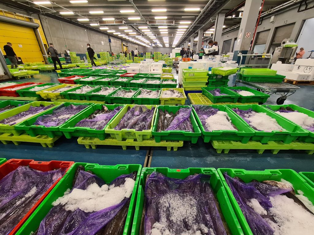 Geführte Besichtigung des Fischmarktes in Pasaia