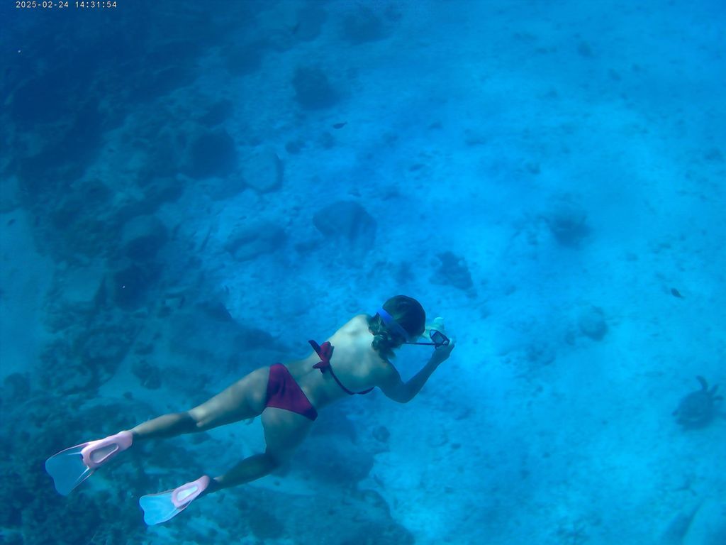 Halbtägiger Schnorchelausflug nach Curieuse und St Pierre ohne Barbecue-Mittagessen