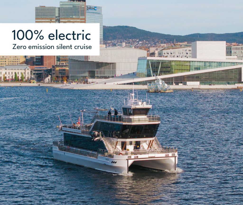 Oslo: Geführte Fjord-Sightseeing-Kreuzfahrt auf dem Premium Silent Boat