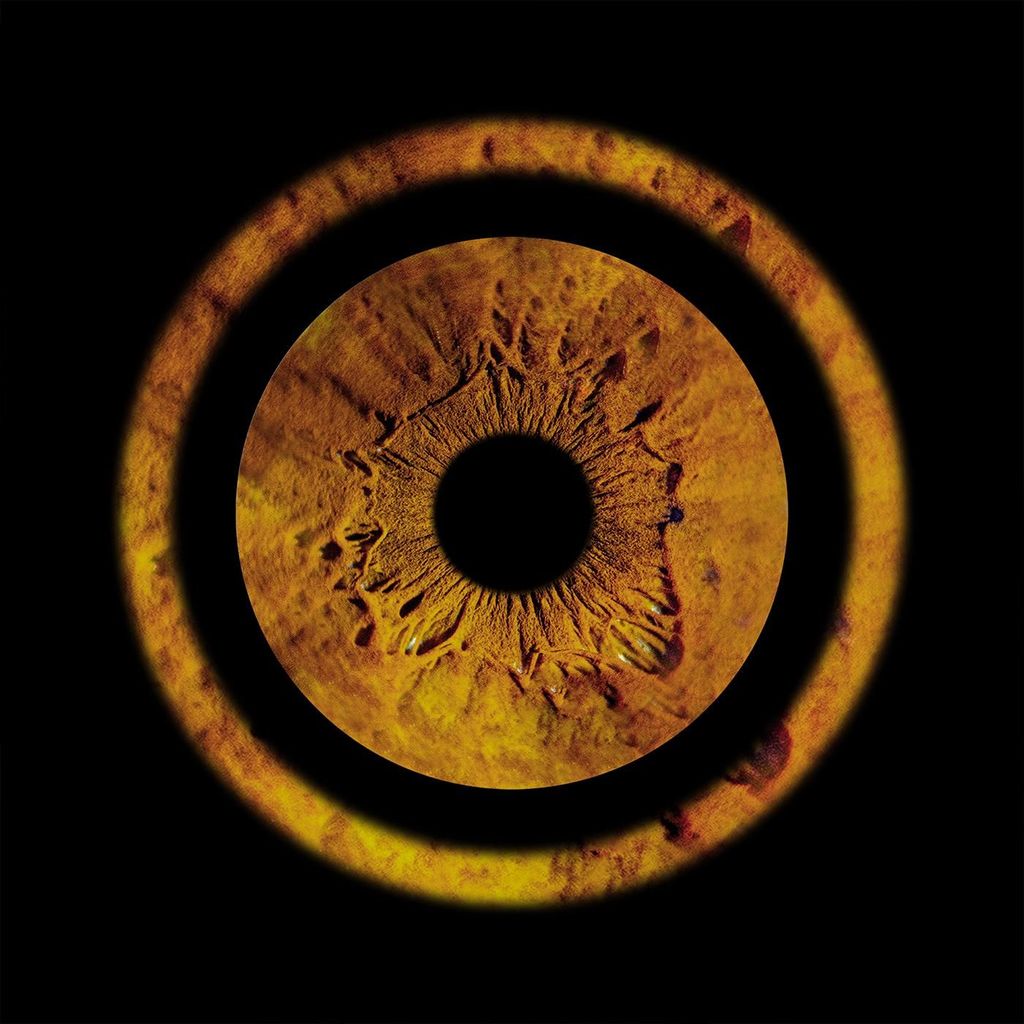 Metz: Deine professionelle Irisfotografie mit gerahmtem Abzug