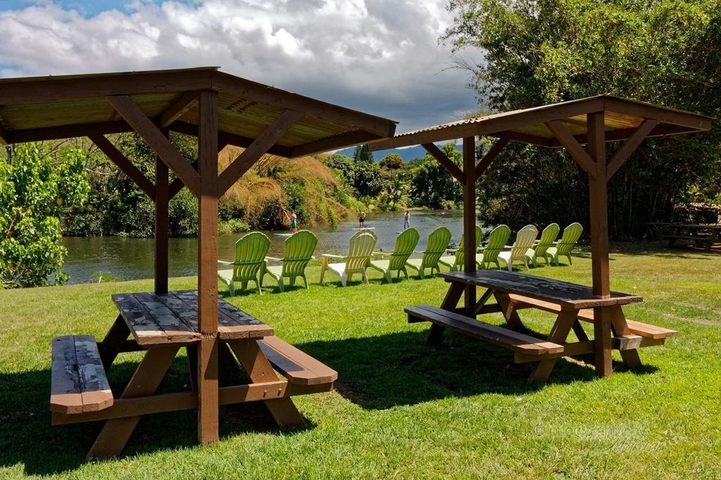 Der beste Tag an der Nordküste! Fluss, Schildkröten, Farm mit Mittagessen