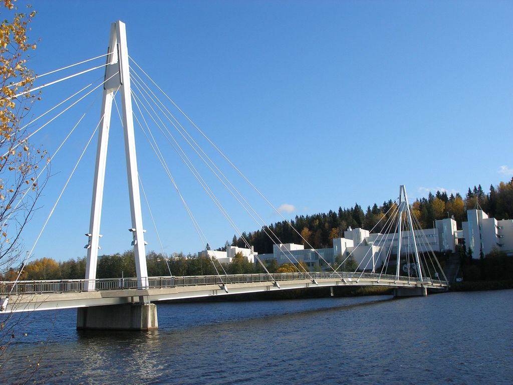 Jyväskylä: Finnisches Homestay-Erlebnis mit Mahlzeiten