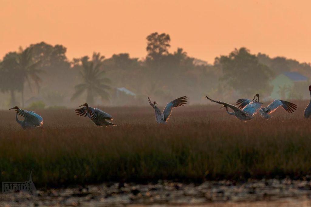Aunlung Pring: Ökotourismus – Community & Landschaft