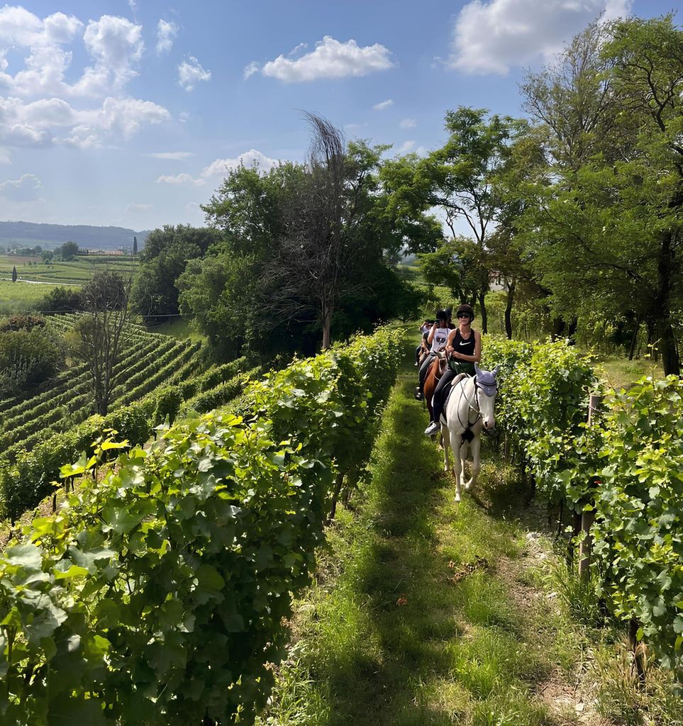 Franciacorta: Ausritt durch Weinberge und Dörfer