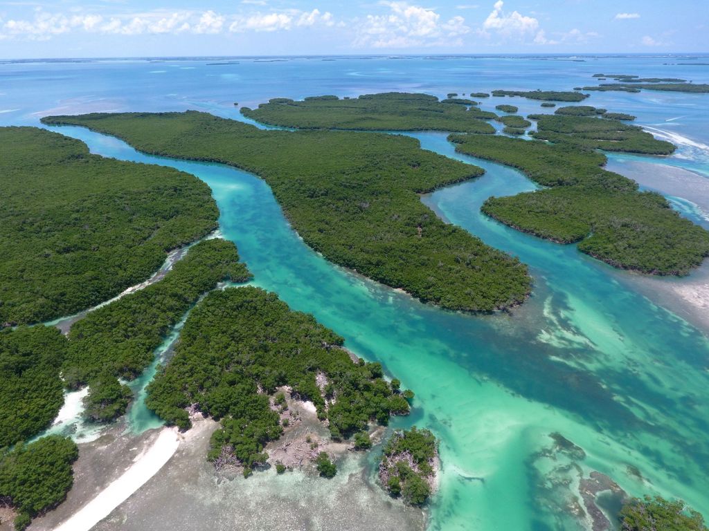 Key West: Eco Safari Sandbar Tour mit Schnorcheln