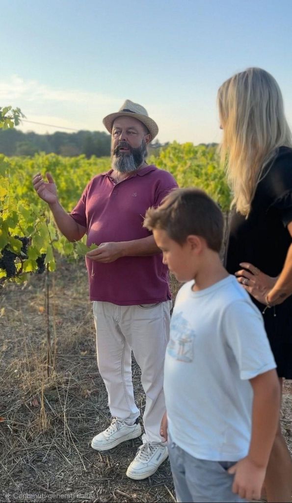 Valle d'Itria: Tour durch einen Bio-Weinberg und ein Weingut im Trullo