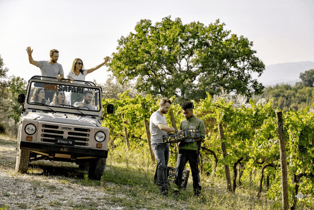 Montefalco: Enosafari im Jeep zwischen Weinbergen und Verkostung