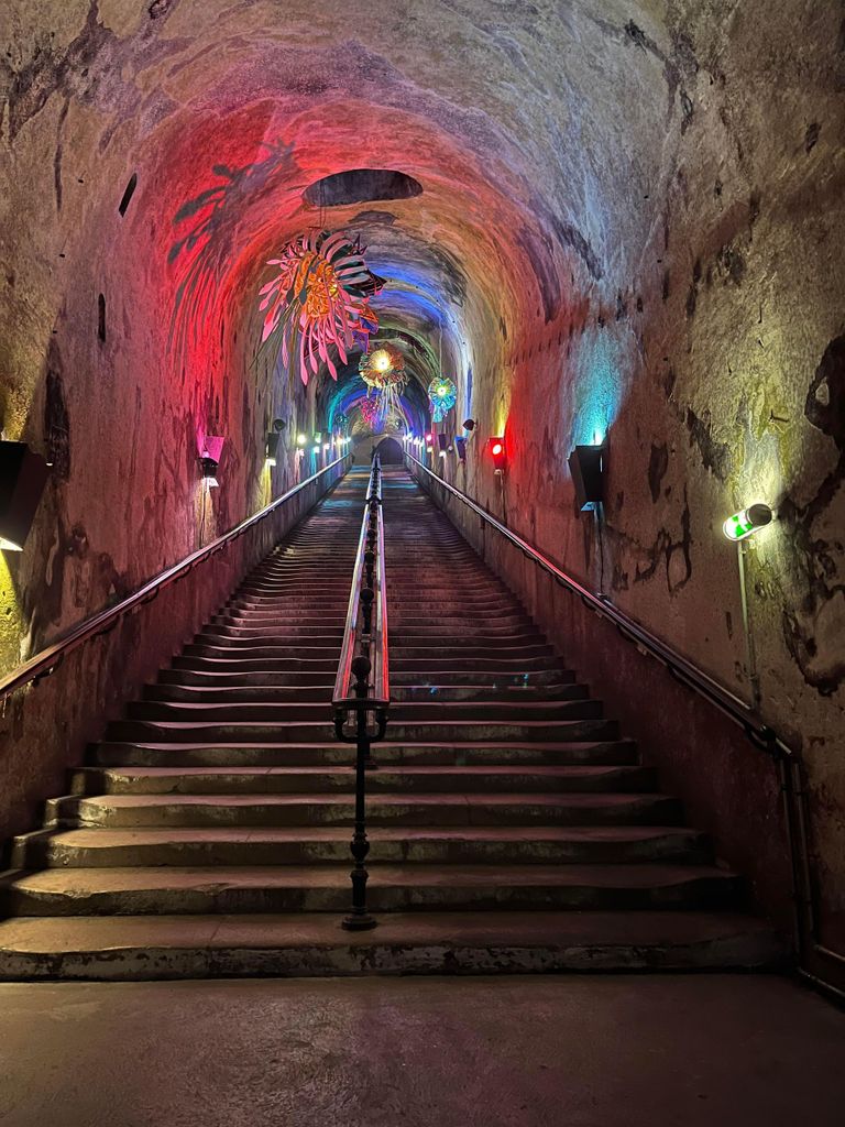 Entdeckungstour durch Reims und Epernay