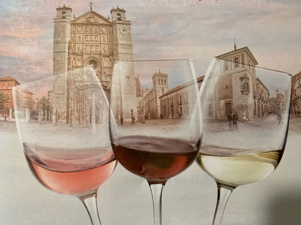 Valladolid: Private Tour mit Führung, Tapas und Weinverkostung