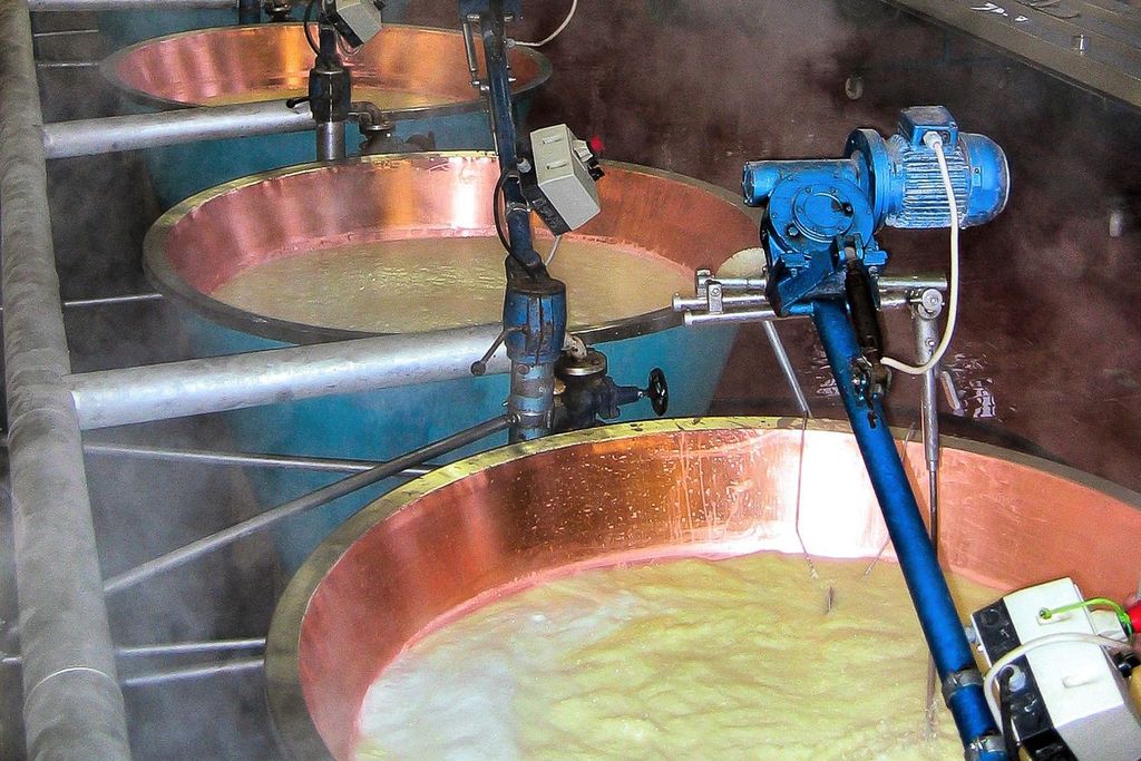 Von Parma aus: Parmesan, Parmaschinken und Balsamico-Essig Tour