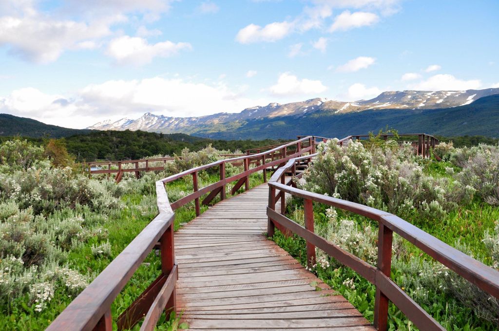 Gruppen- oder Privattour zum Nationalpark Tierra del Fuego, optionale Stadtrundfahrt