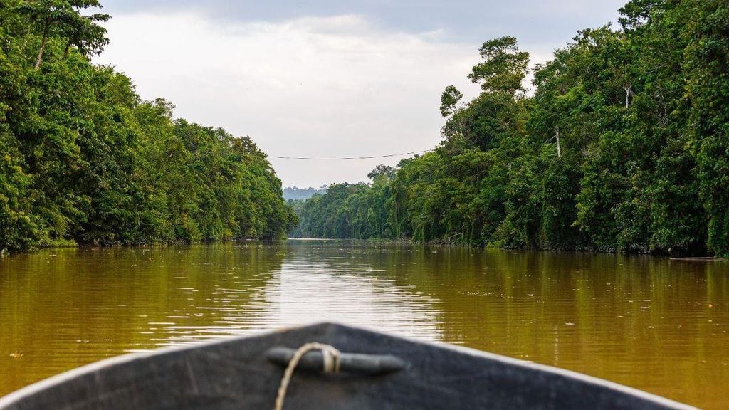 Sandakan: 3-tägiges Wildtierabenteuer auf dem Kinabatangan-Fluss