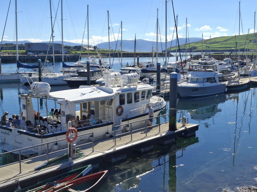 Dingle: Blasket Island Eco Tour mit Wildtierbeobachtung