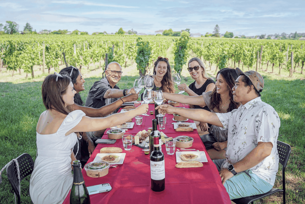 Bordeaux Ganztägige Weintour - 3 Weingüter & Picknick