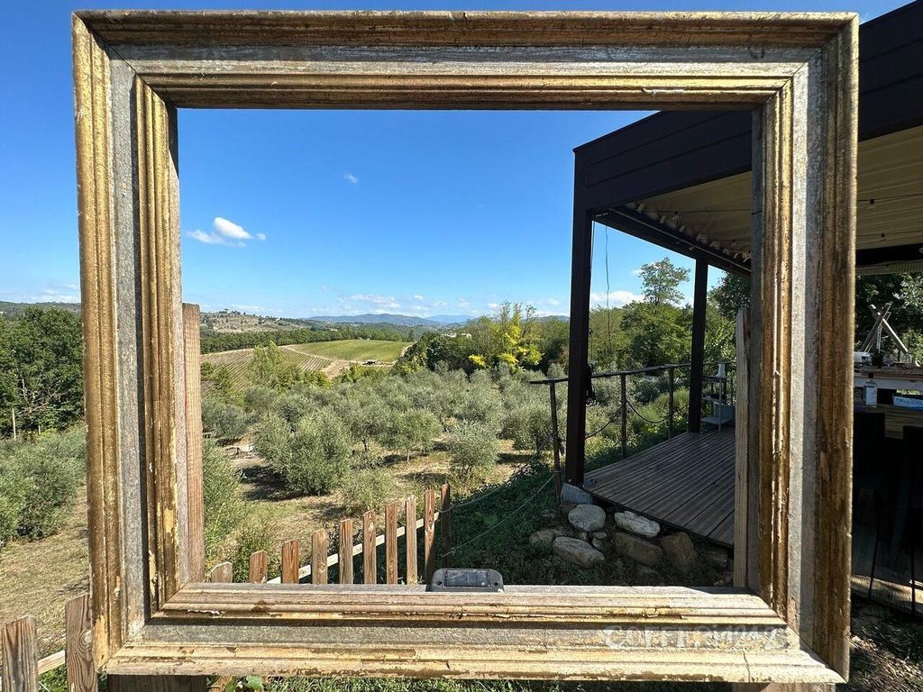 Chianti: Evo-Öl-Verkostungsschule mit einem Spaziergang im Olivenhain und Mittagessen