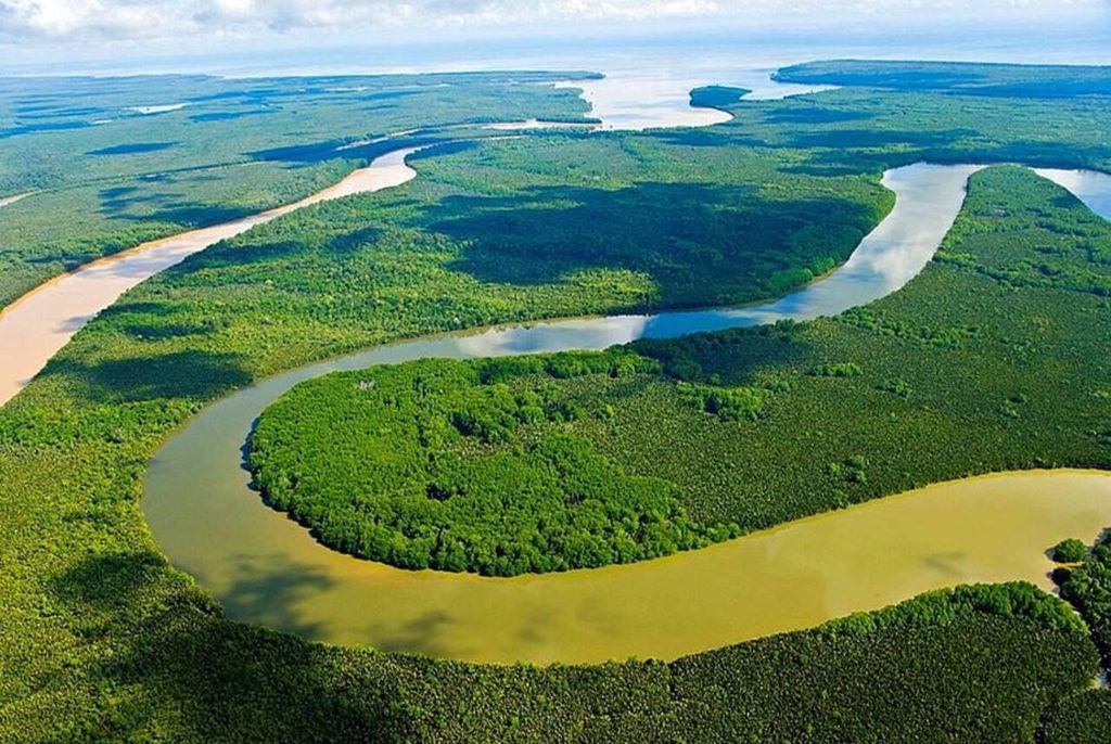 Sandakan: Wildtier-Bootsfahrt auf dem Kinabatangan mit Mittagessen