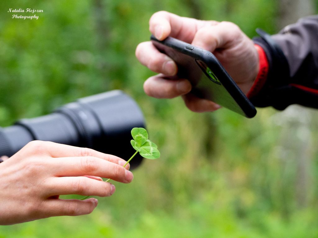 Oulu: Familien-Naturwanderung mit Picknick in Hietasaari