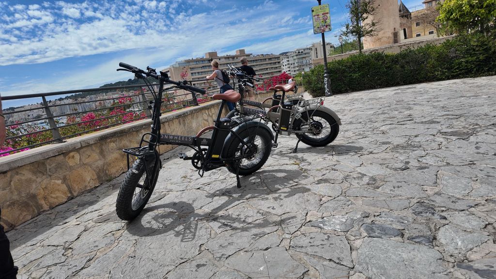 Palma: Luxuriöser E-Bike-Verleih mit Routenvorschlägen