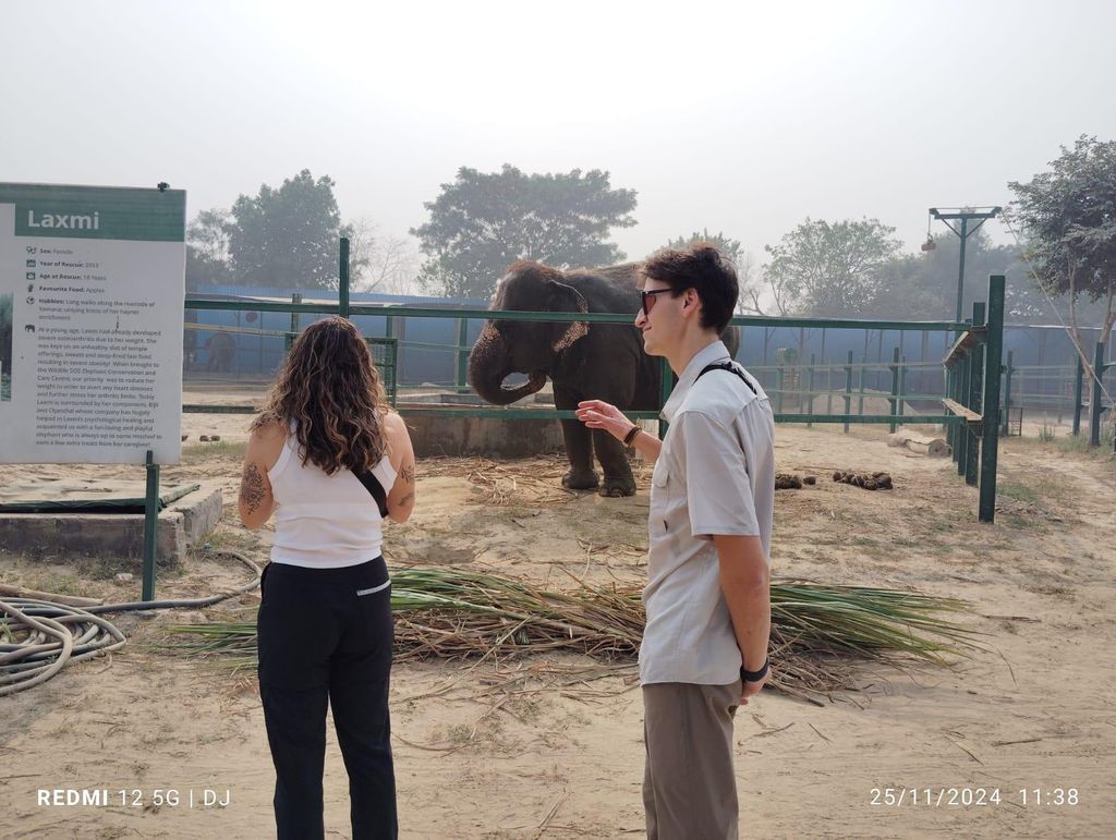 Von Agra aus: SOS Elephant Conservation & Bear Rescue Tagestour