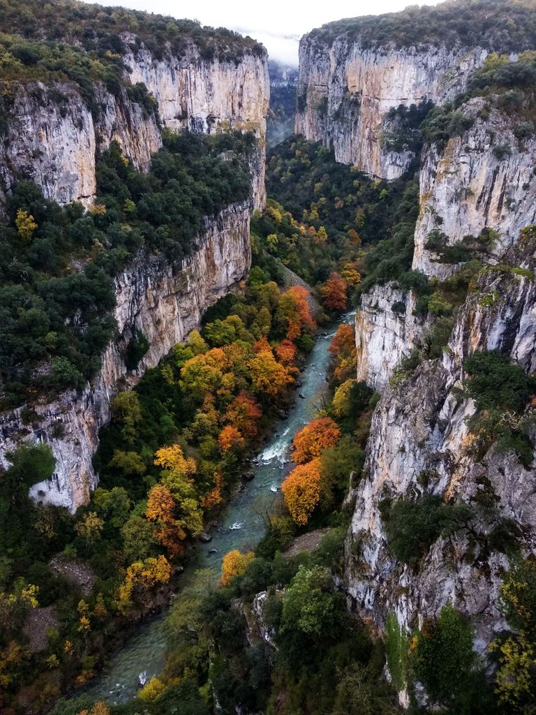GANZTÄGIGER Ausflug: Irati-Wald und Ochagavía