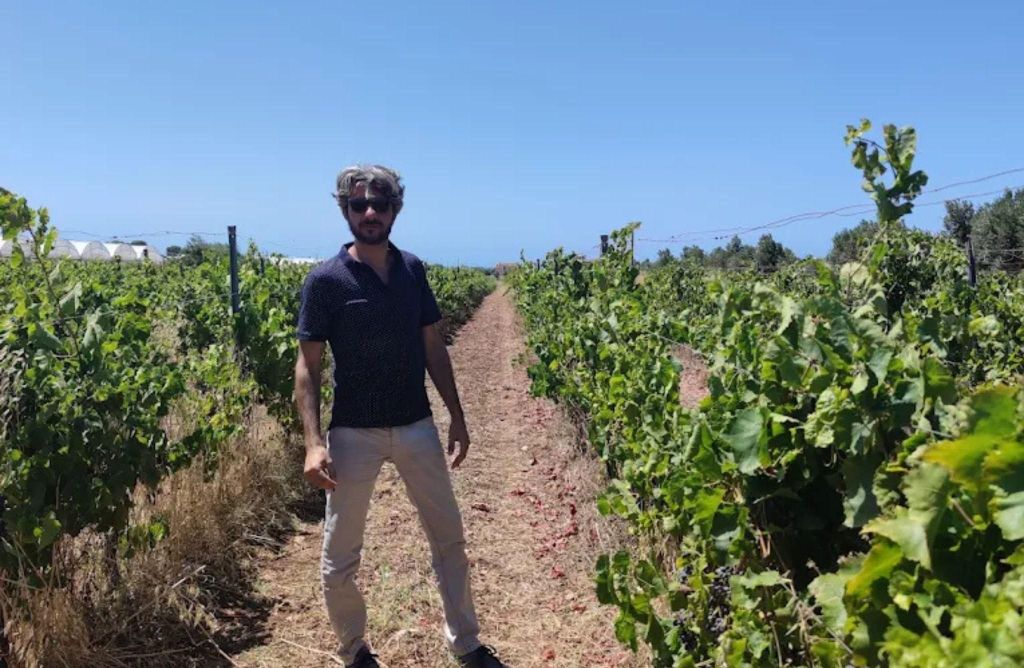 Weingut-Tour und Wein- & Lebensmittelverkostung in der Nähe von Ragusa