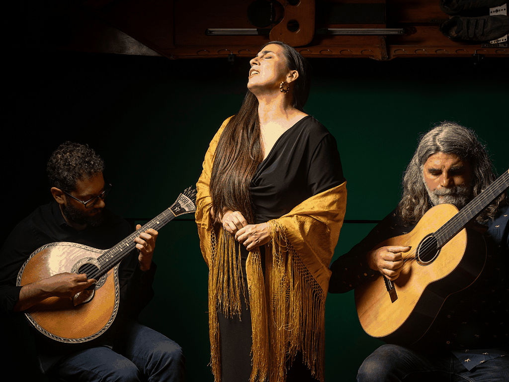 Porto: authentisches Fado-Konzert mit Portwein & Aussicht