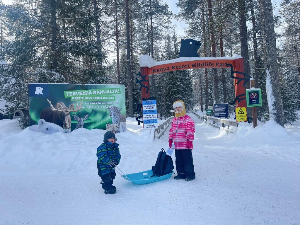 Geführte Ranua Wildlife Zoo Tour mit Mittagsbuffet