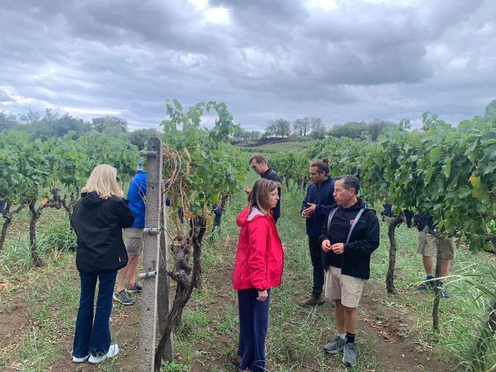 Weinverkostung und Tour durch Taormina und Messina ab Messina