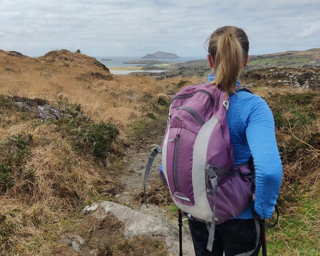 Ring of Kerry: geführte Bergwanderung zu versteckten Juwelen mit einem lokalen Experten
