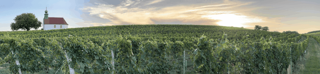 Weinkunst In Vollendung - Burgenländische Ikonenweine!