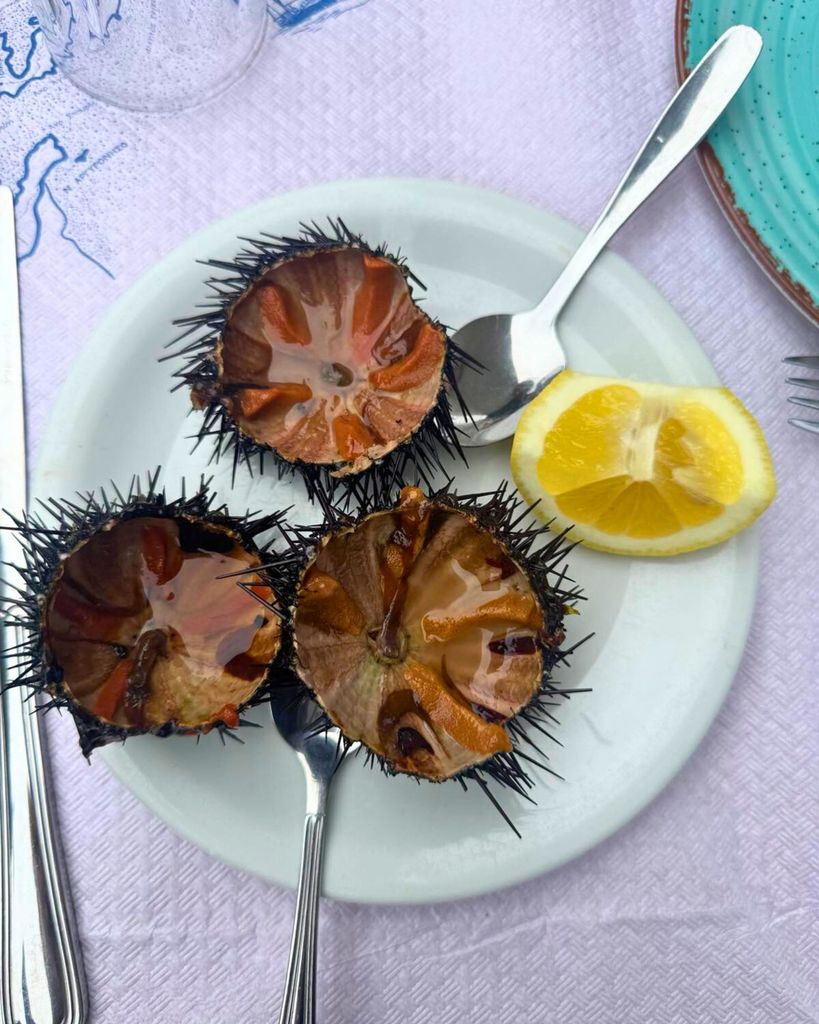 Volos: Tsipouro-Ritual und Slow-Living-Rundgang