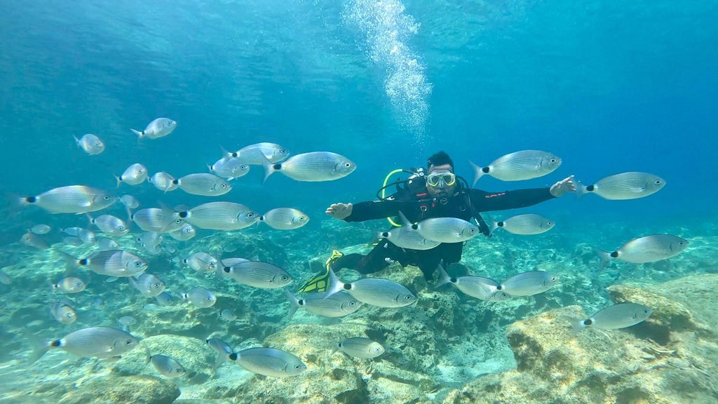 Green Bay Zypern – Tauchen – Geführter Tauchgang oder Schnuppertauchgang