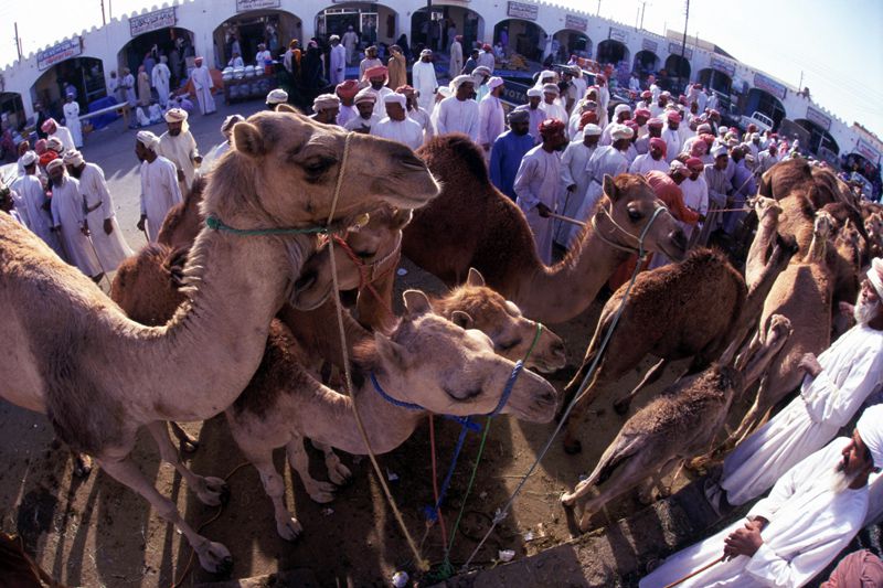 Eine Reise durch Oman