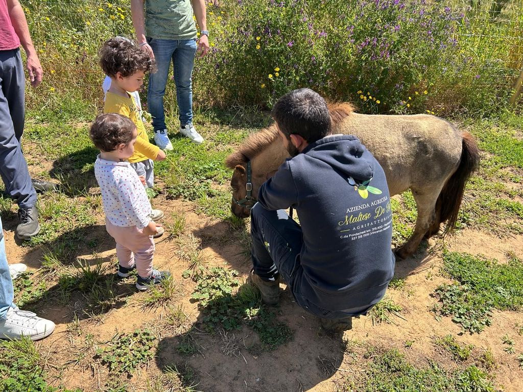 Partinico: Verkostung von nativem Olivenöl extra und Gemüse auf dem Bauernhof