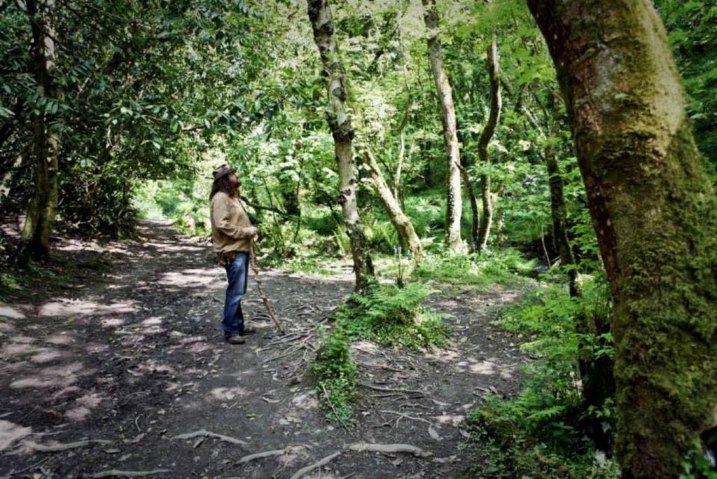 Ab Glastonbury: 2-tägige Tintagel, Boscastle & Dartmoor Tour