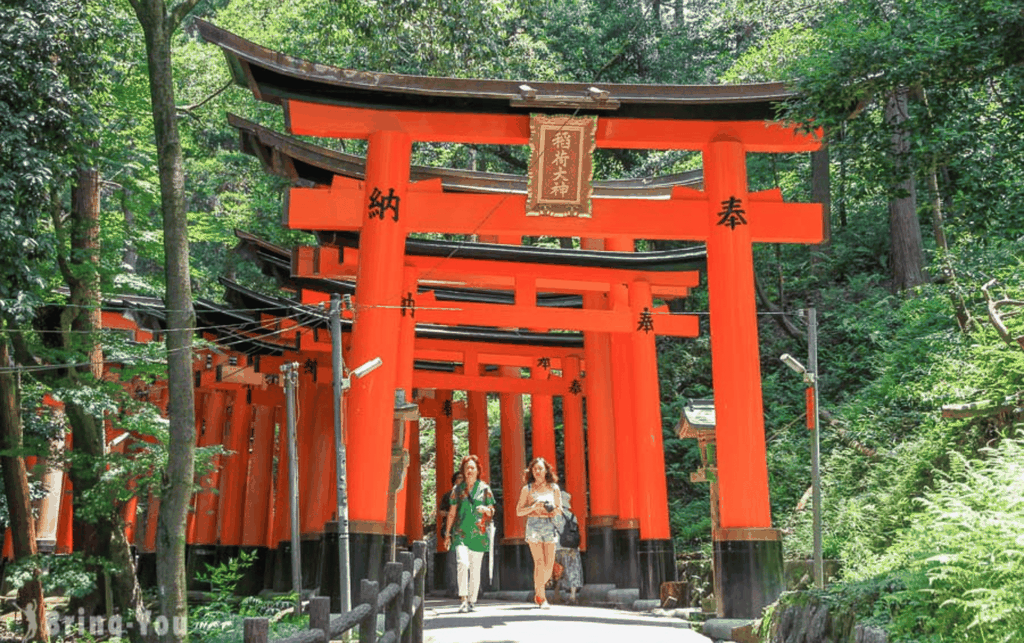 Kyoto/Osaka: Kyoto und Nara Individuell gestaltbare Tagestour mit Guide
