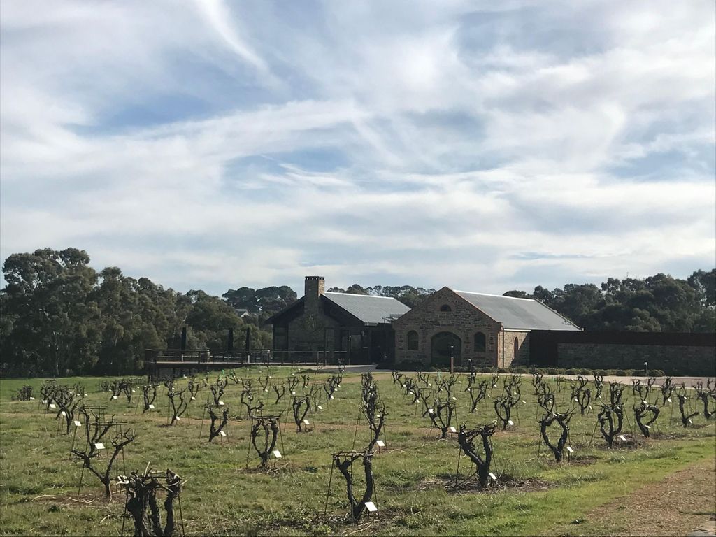 Barossa Valley: Kleingruppen-Weintour (inkl. Mittagessen)