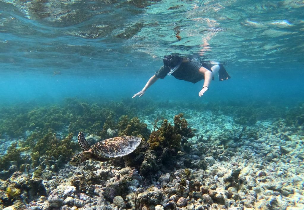Schnorcheln auf Coco Félicité & Ganztägiger Bootsausflug zur Insel La Digue