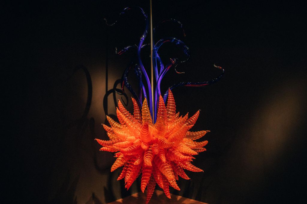 Matakana Art & Wine Village Private Tour