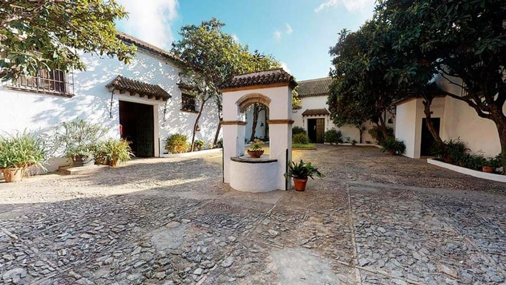 Barbadillo Winery Guided Tour in Cádiz mit Weinverkostung