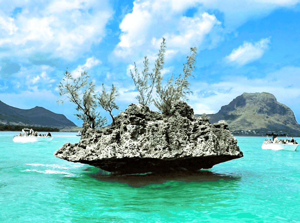 Île aux Bénitiers: Katamaran-Tour mit Delfinbeobachtung und Mittagessen