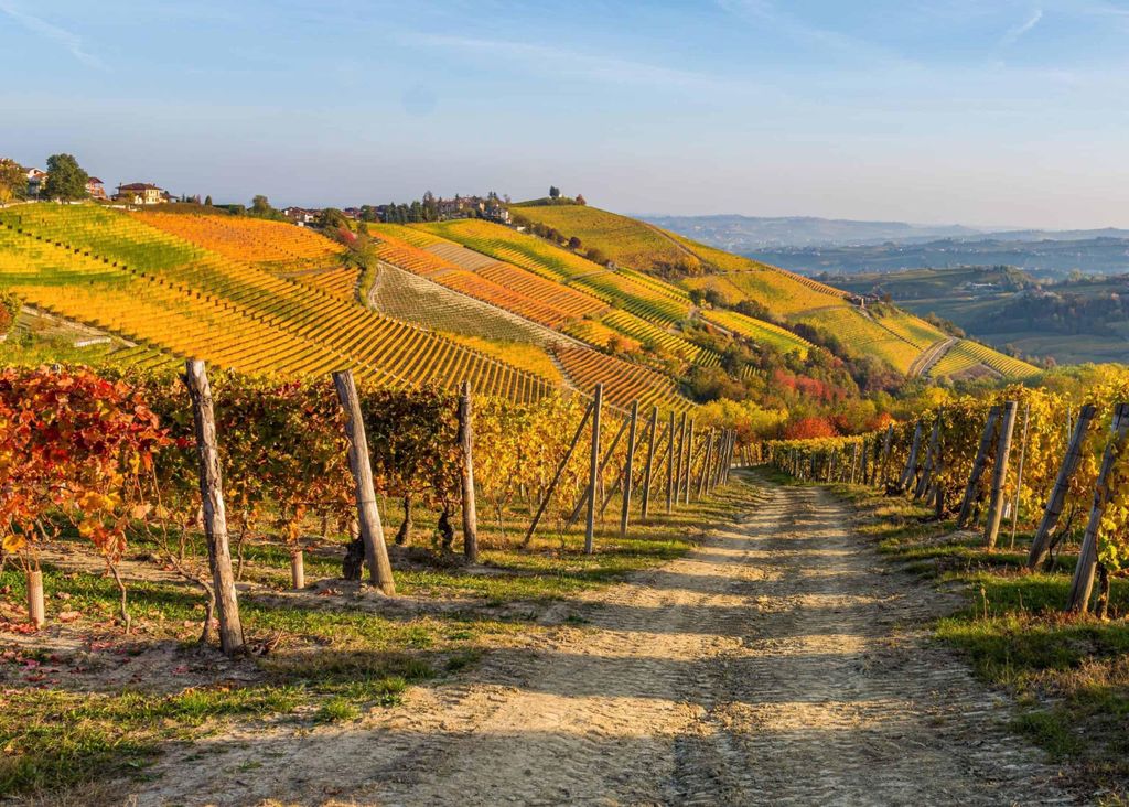 Tour durch die Hügel des Barolo und des Barbaresco