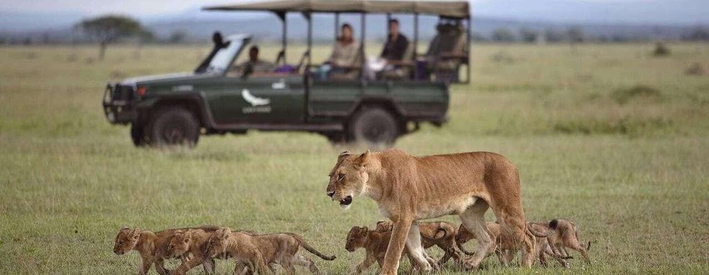 Ab Dar es Salaam: 3-tägige Safari im Mikumi Nationalpark